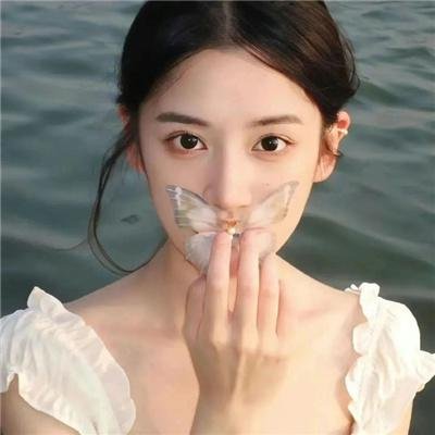 银杏回声·未删减